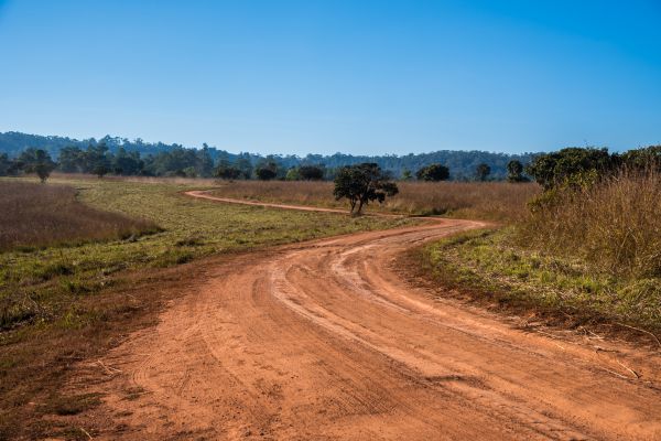 Dirt Driveway Repair in Napa