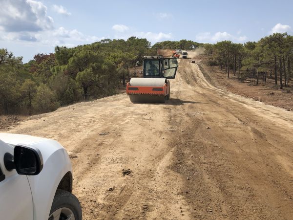 Driveway Grading in Napa