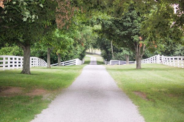 Gravel Driveway Construction in Napa