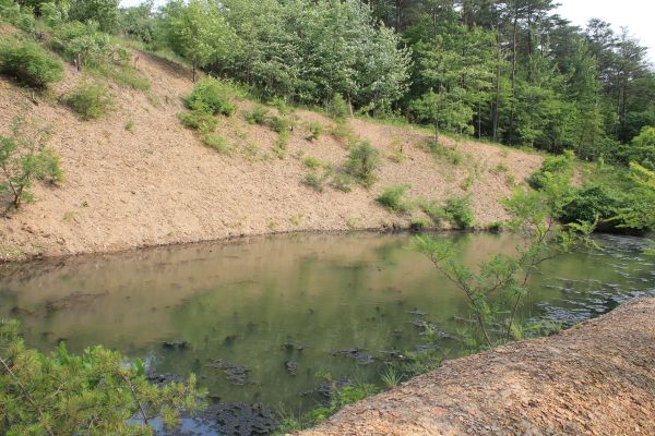 Pond Erosion Repair in Napa