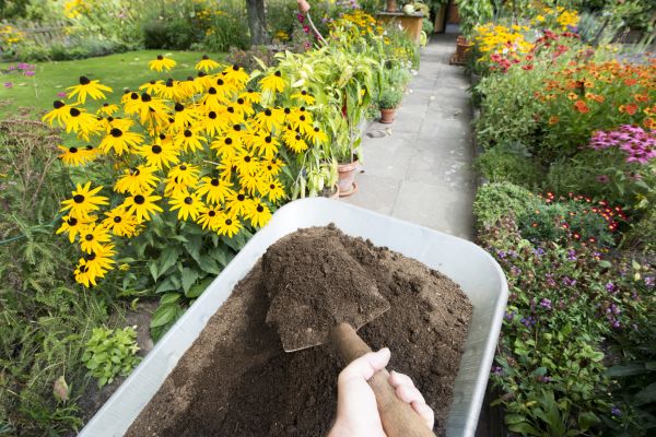 Topsoil Installation in Napa
